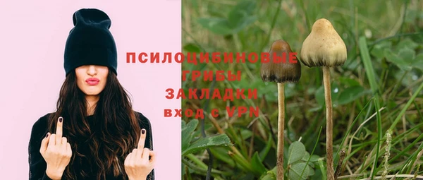 mix Абинск