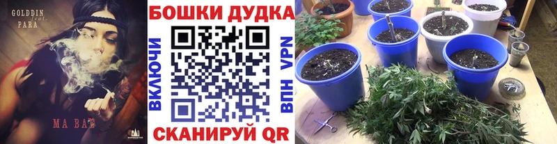 Бошки марихуана SATIVA & INDICA  Щёлково 